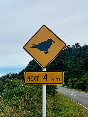 Westland Petrel road sign