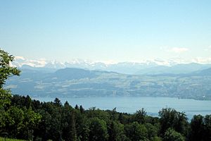 Zuerichsee.jpg