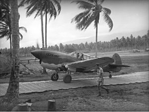 AWM 026647 P-40 Milne