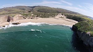 Aerial view of Bonny Doon beach