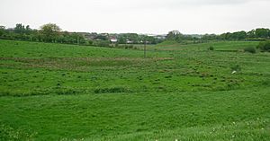 Black Loch site, Nettlehurst