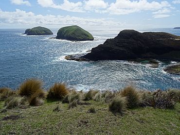 Cape Grim DSC08448 Tasmania (24408437442).jpg