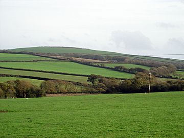 Castle an Dinas 1.JPG