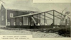 Clarence Houck's Cattery - New Scotland, NY