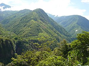 Landscape near Baños