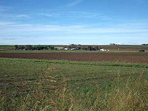 Farms in Kalbar