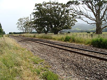 Fernside railway station 01.JPG