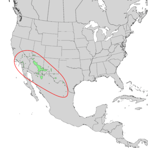 Fraxinus velutina range map 1.png