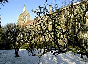 Greyfriars from the Gardens