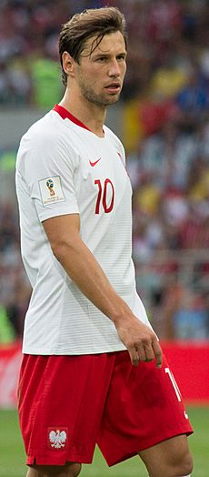 Grzegorz Krychowiak 2018