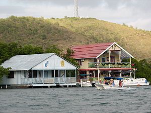 Homes in Lajas