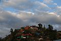 Houses in Nogales, SON