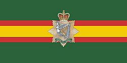 I Regt C Camp Flag