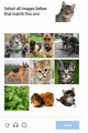 Images Recaptcha