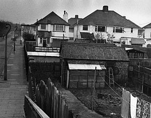 Kidbrooke1980