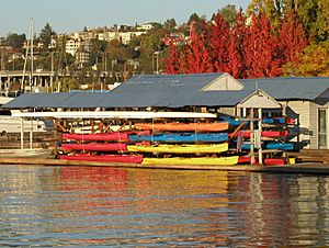 Lakeunionkayaks