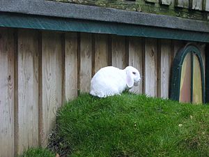 Longleat003