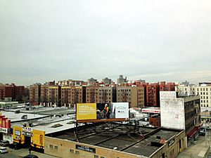 Longwood Neighborhood from Bruckner Expressway