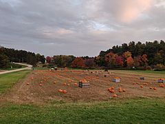 Mack's Apples in October 2021 2