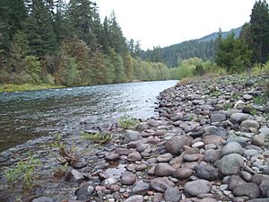 McKenzie River at Nimrod, OR