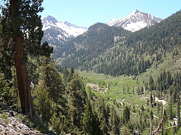 Mineral King Valley (9103965415).jpg