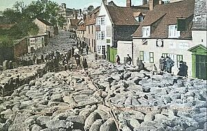 November Sheep Fair, Stamford