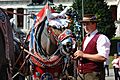 Oktoberfest-Kutscher