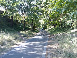 Outer Circle Trail looking north toward Mont Albert Road Bridge