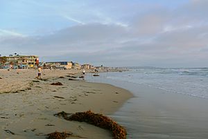 Pacific Beach southwards