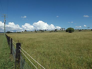 Paddocks at Innisplain, Queensland.jpg