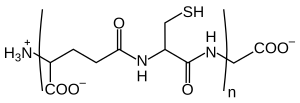 Phytochelatin