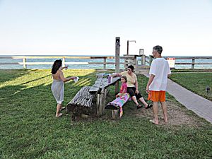 Picnic by the Sea