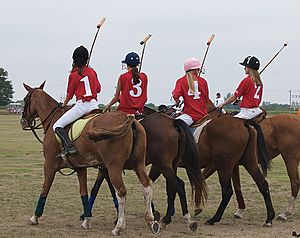 PoloGirlsHorses