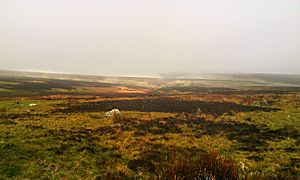 Porlock Stone Circle II