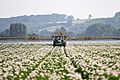 Potato blight spraying system