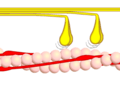 Querbrückenzyklus 3