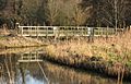 River Waveney, Redgrave Fen