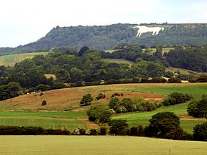 Royston Scar Yorkshire