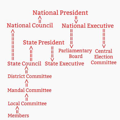 Structure of BJP 2020 March