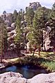 Sylvan Lake Rocks and Lake