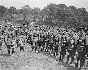 The Official Visits To the Western Front, 1914-1918 Q8991