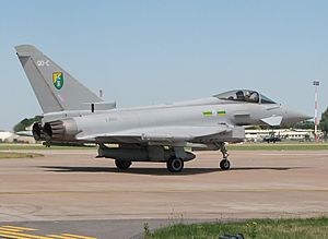 Typhoon.f2.zj922.ff2006.arp