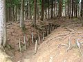 Verdun Communication Trench WW1 2009