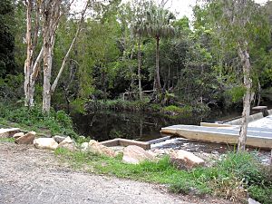 Waterpark-creek