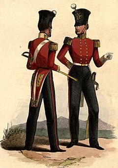 14th Foot uniform