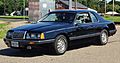 1984 Ford Thunderbird; Annandale, MN (42362510175)