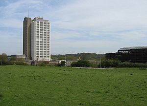 AA head office - geograph.org.uk - 780430