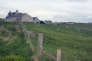 Aird (geograph 2422752).jpg