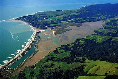 Bolinas California aerial view