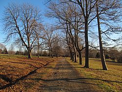 Brewer Road at Worlds End, January 2017